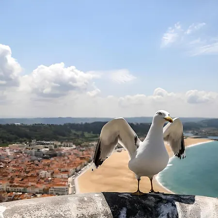 Ricky House Big Waves Apartment *