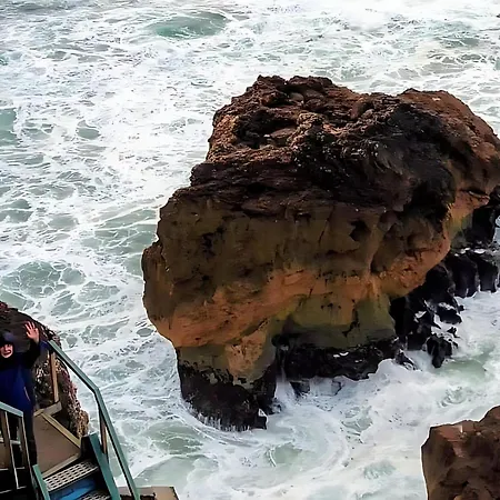 Ricky House Big Waves Nazare