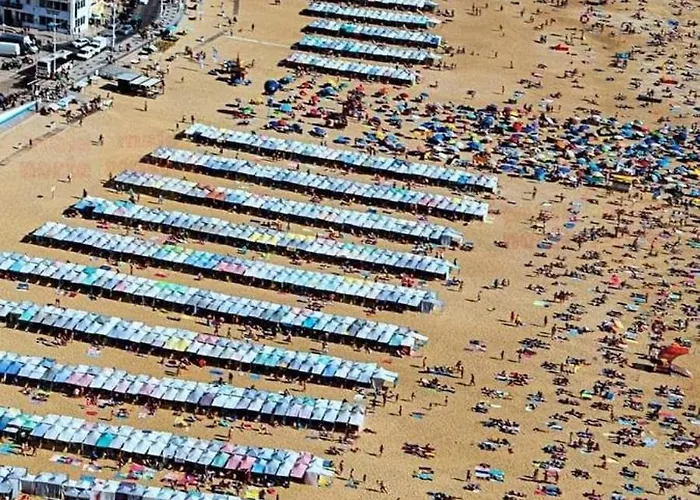 Ricky House Big Waves