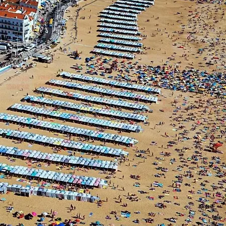 Ricky House Big Waves