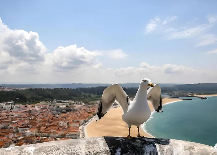 Ricky House Big Waves Lejlighed *